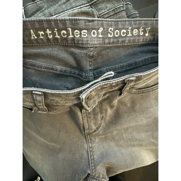 Articles Of Society Gray Skinny Jeans Size 26 - Picture 3 of 4
